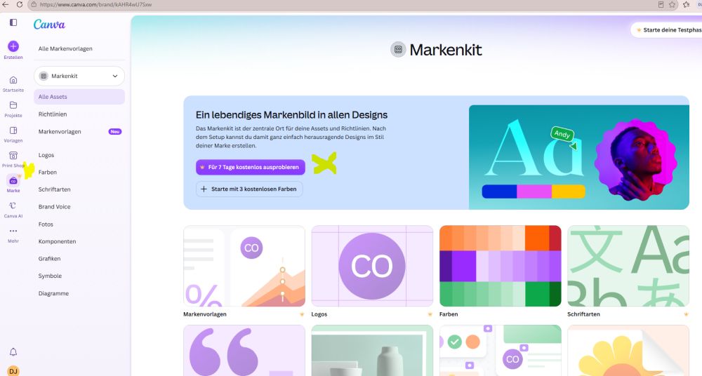 Markenkit SCreenshot der Canva-Seite Marke